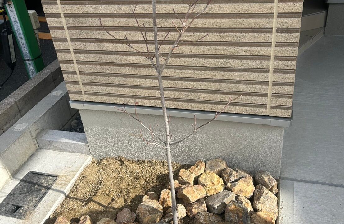 栗石で仕上げたハナミズキの植栽スペース