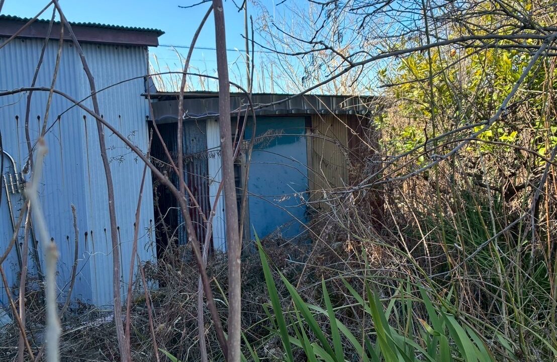 小屋や雑草、樹木が生い茂っていて管理が負担