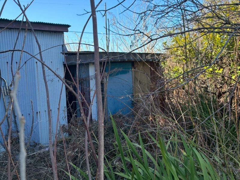 小屋や雑草、樹木が生い茂っていて管理が負担