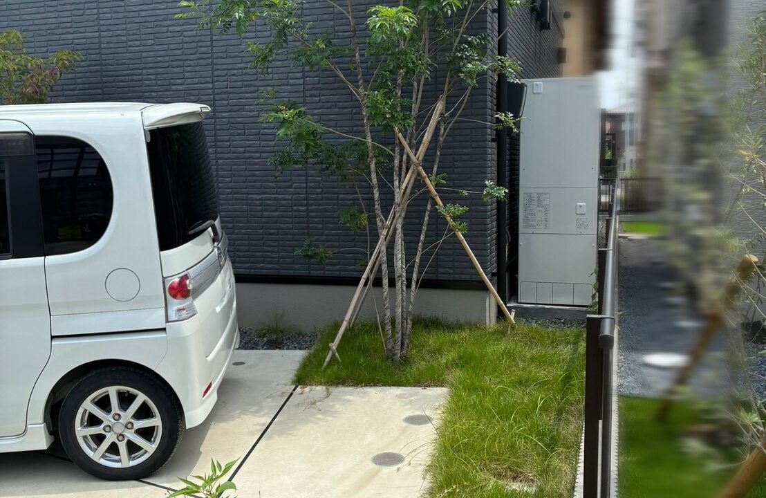 天然芝や植え込みが伸びている様子