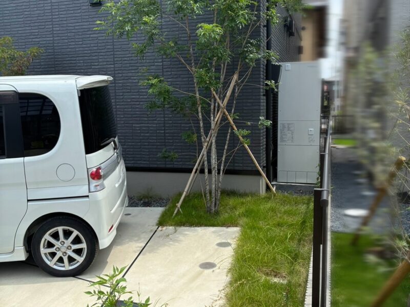 天然芝や植え込みが伸びている様子